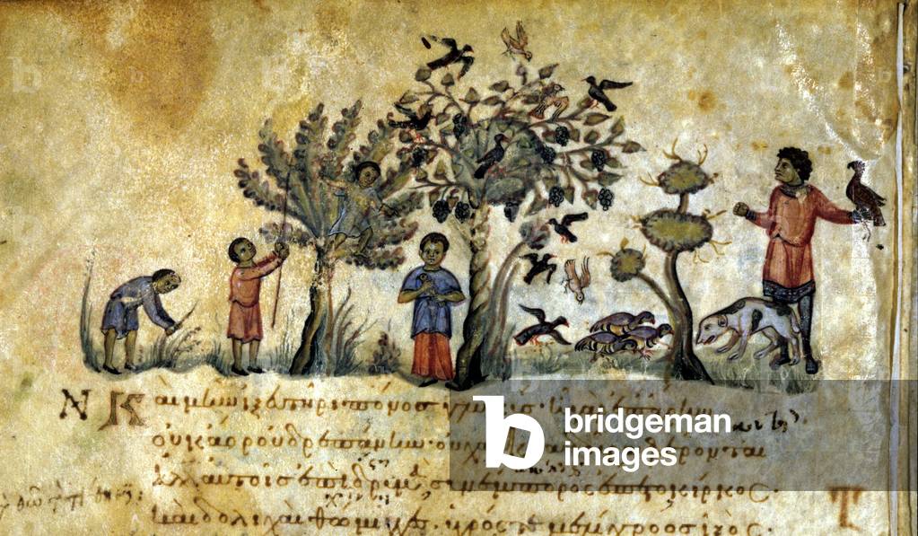 Hunting with the falcon and capturing bird nests. Greek manuscript of Oppianus De Venatione 13th century.