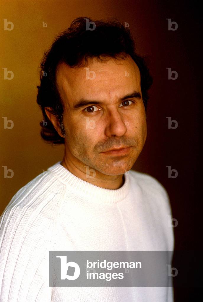 Portrait of the French writer Philippe Besson (born 1967), 2004