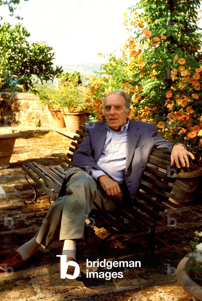portrait of Luigi Malerba, Italian writer and realisateu.
