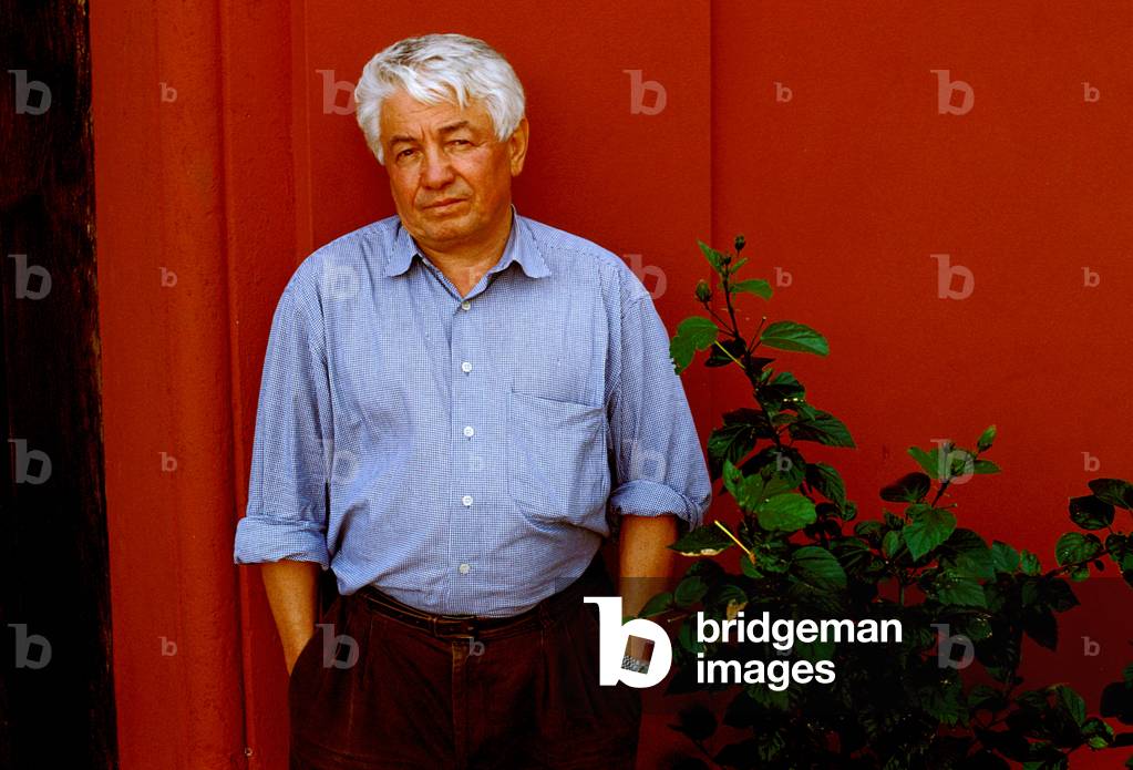Portrait of the writer Vladimir Voinovich (Vojnovic).