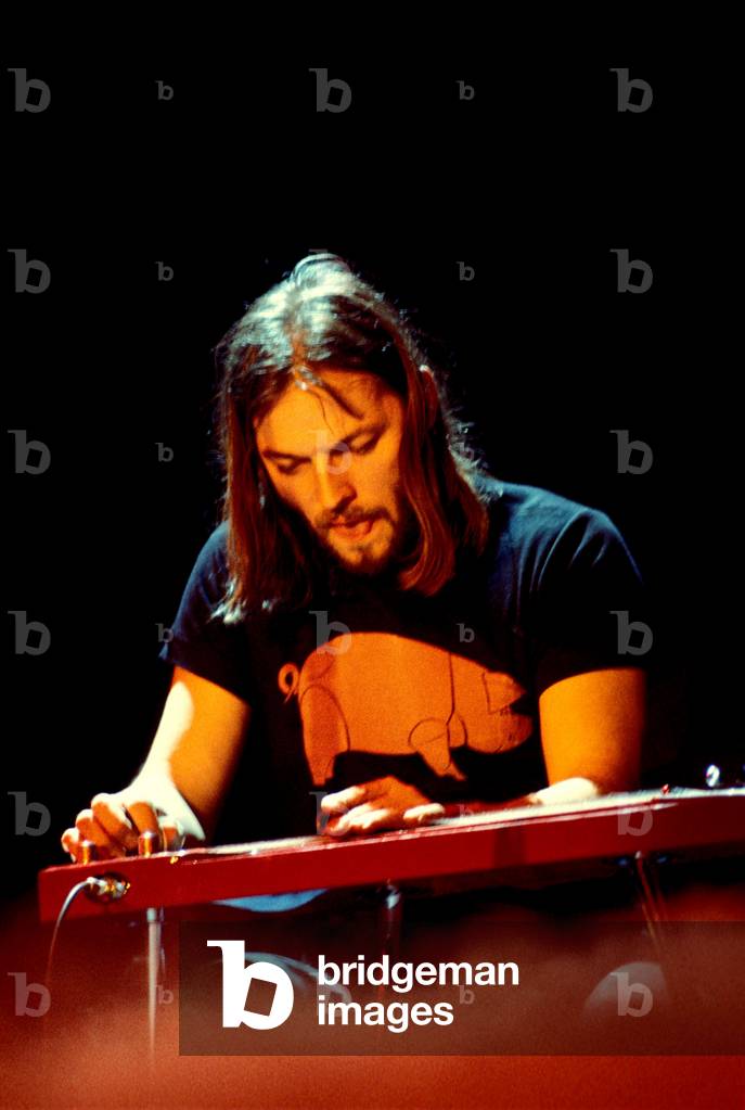 February 1977: concert of rock band Pink Floyd at the Paris pavilion: guitarist and singer David Gilmour.