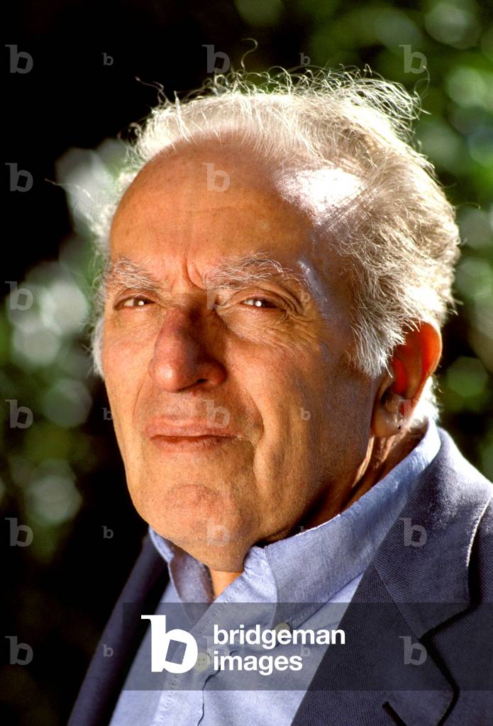 portrait of Luigi Malerba, Italian writer and realisateu.