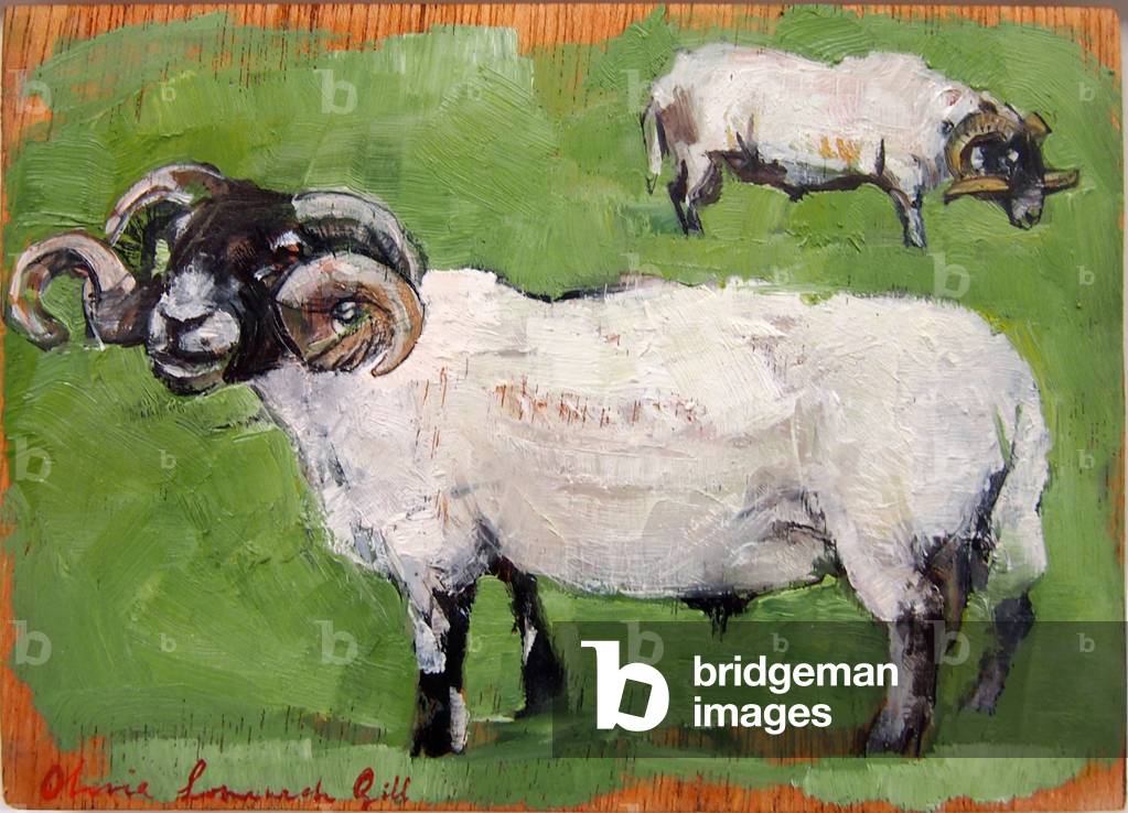 Two Tups, study, 2012 (oil on panel)