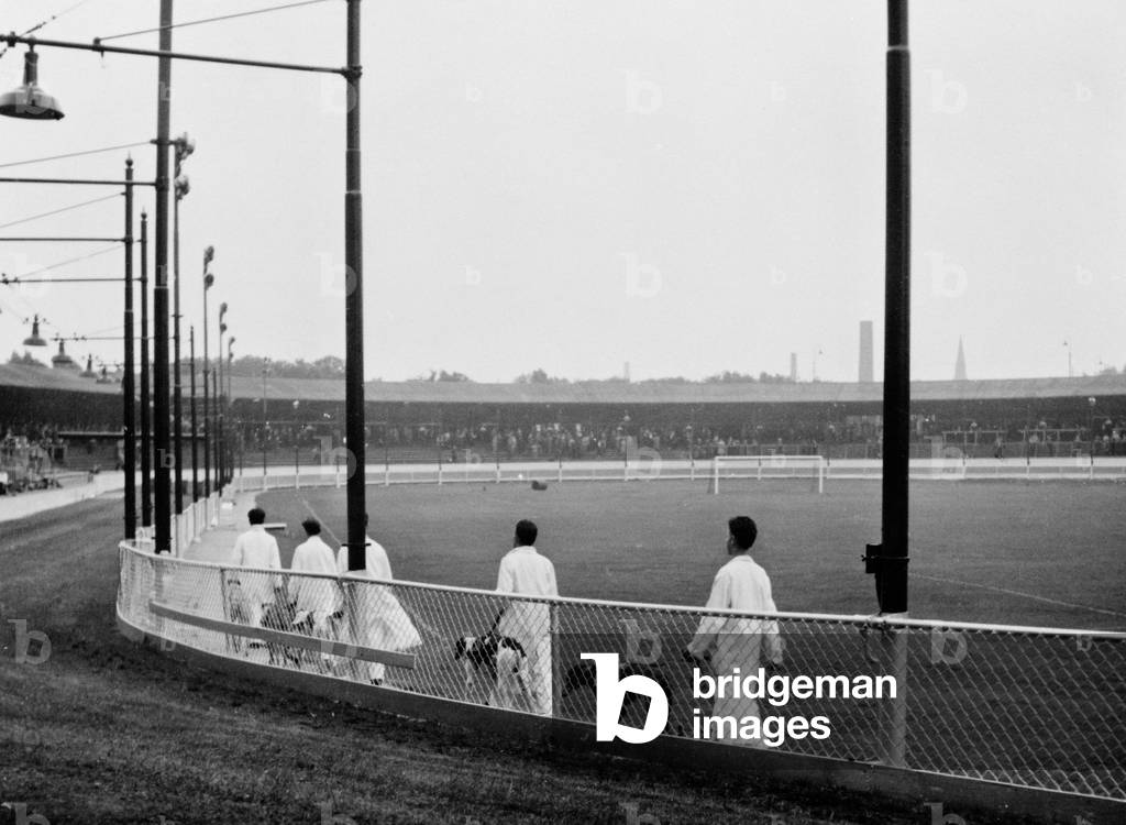 Greyhound racing at Shawfield Park, 1955 (b/w photo)