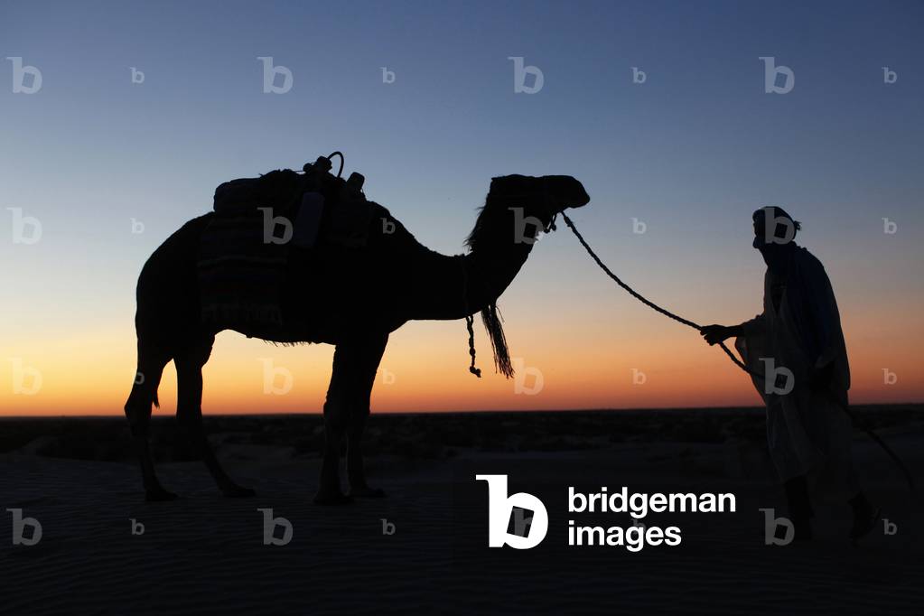 Camel driver at dusk in the Sahara desert, Douz, Tunisie