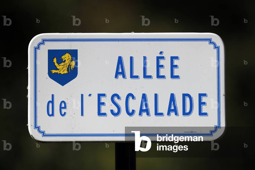 Alle de l'escalade panel.  France.
