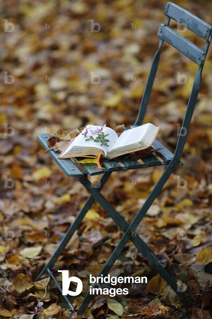 Bible on a chair with dry fallen autumn leaves. Faith and spirituality.  France.