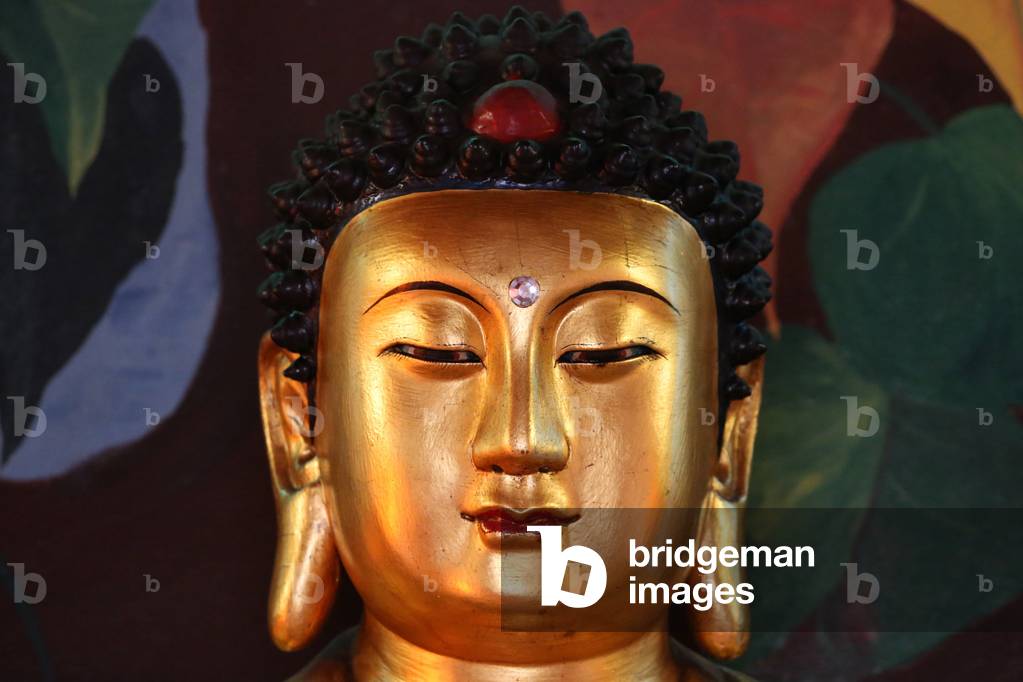 Immagine di Fotografia "Tempio di Hong Hien Tu. Statua di Buddha"