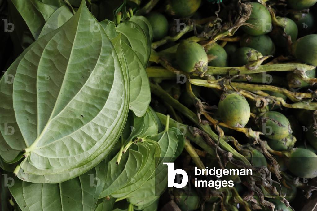 Betel leaves and areca nuts for sale at market, Vietnam, 2019 (photo)