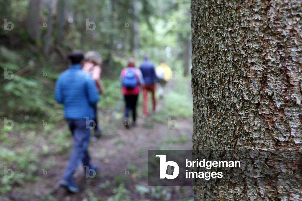 Nature therapy. Qi Gong and forest bathing, also known as Shinrin-Yoku.  France.