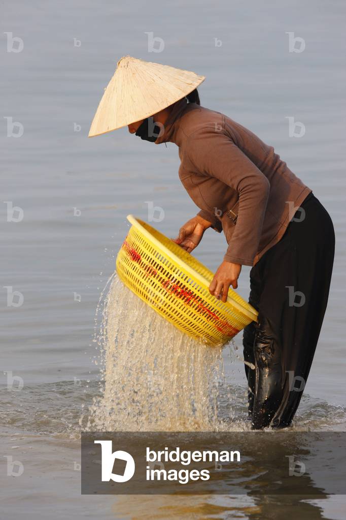 Woman washing shrimps on Mui Ne beach, Mui Ne, Vietnam
