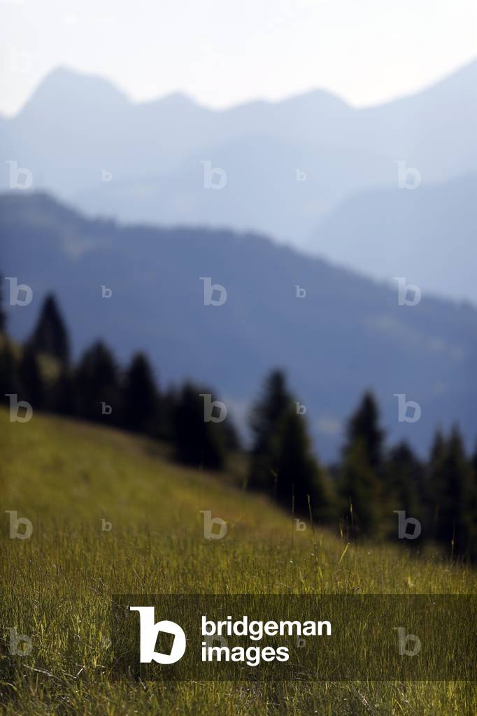 Mont d'Arbois and Mont Joux in summer. French Alps.  France.