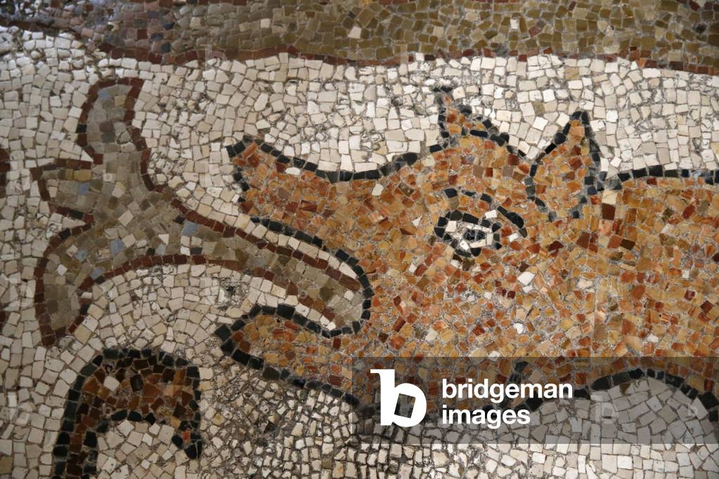 Detail of the mosaics on the floor of Otranto Duomo (cathedral), Italy (photo)