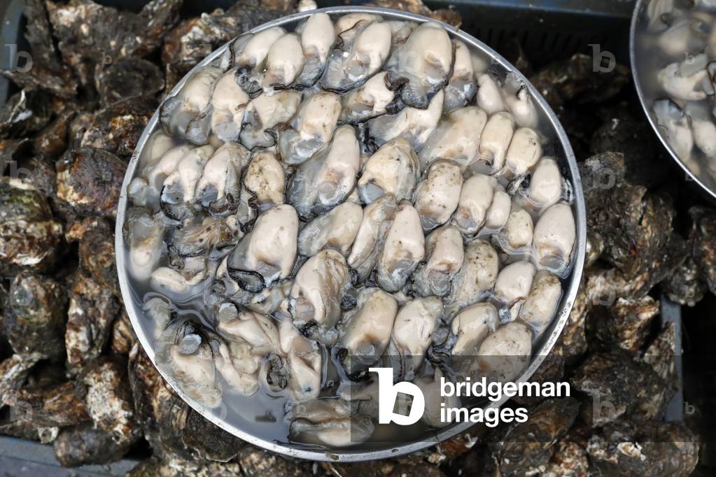 Fresh open oysters on market,  Vung Tau, Vietnam, 2018 (photo)