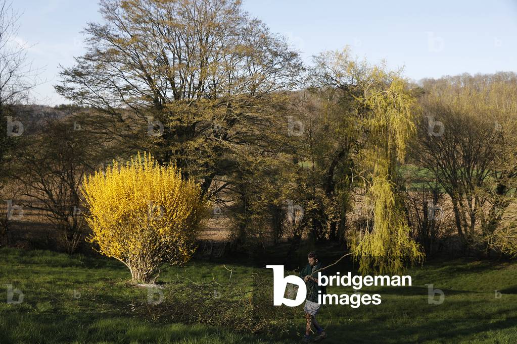 Young man clearing a garden. Eure, France.