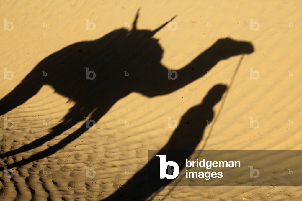 Camel driver's shadow in the Sahara desert, Douz, Tunisie