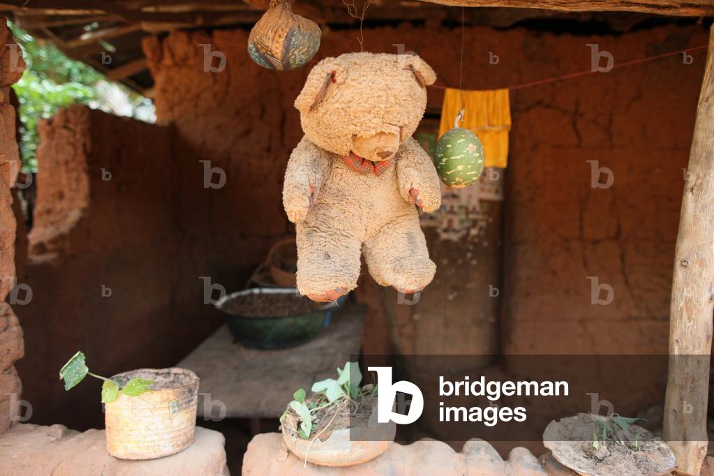 Teddy bear, Tori, Benin