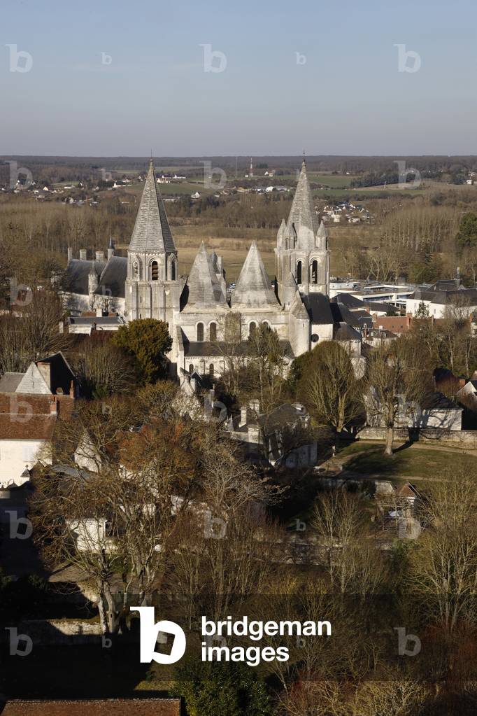 View of Loches, France with castle, 2019 (photo)