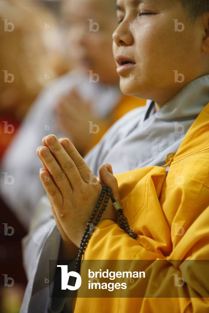 Wesak day celebration in Khanh Anh temple , Evry, France