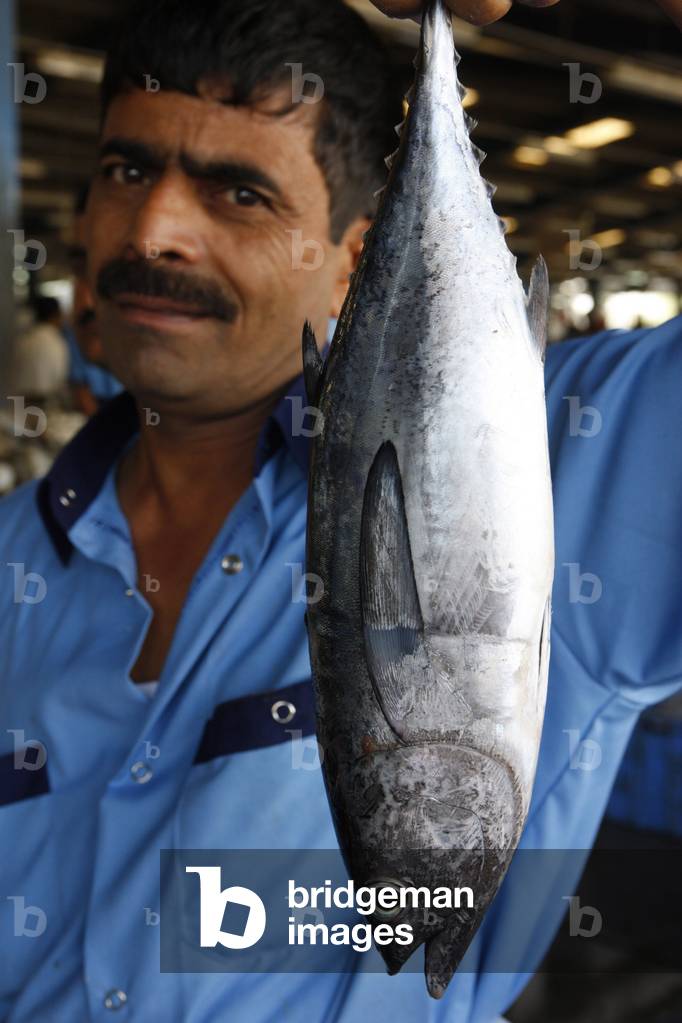 Image of Dubai fish market Red tuna, Dubai, United Arab Emirates