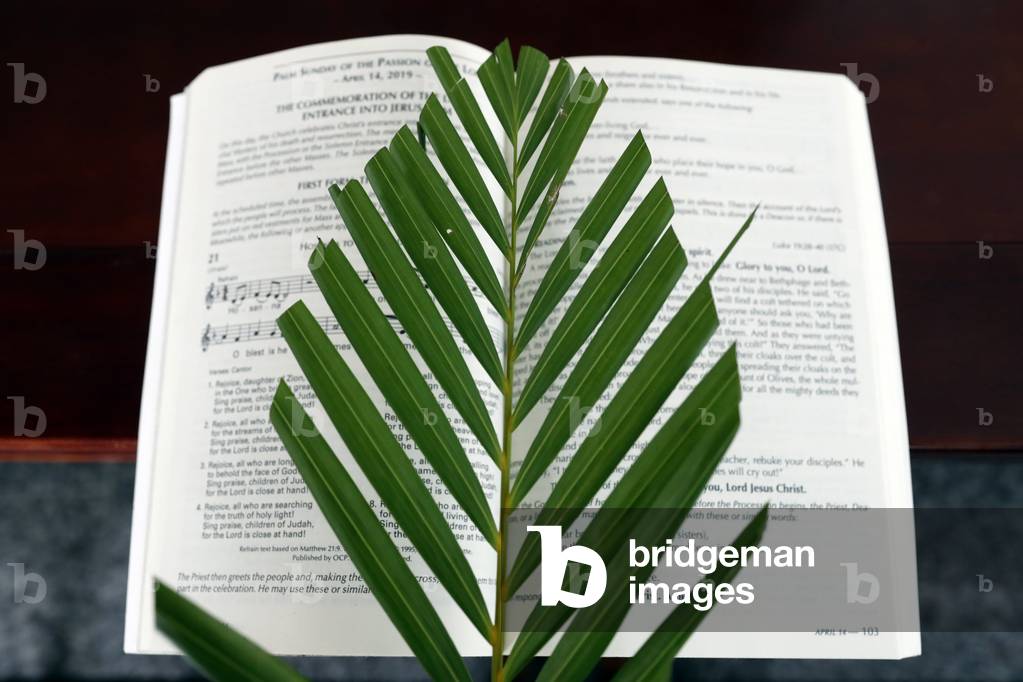 Palm sunday mass, The palm branch is associated with Jesus' Triumphal Entry, Hoi An Cathedral, Vietnam, 2019 (photo)