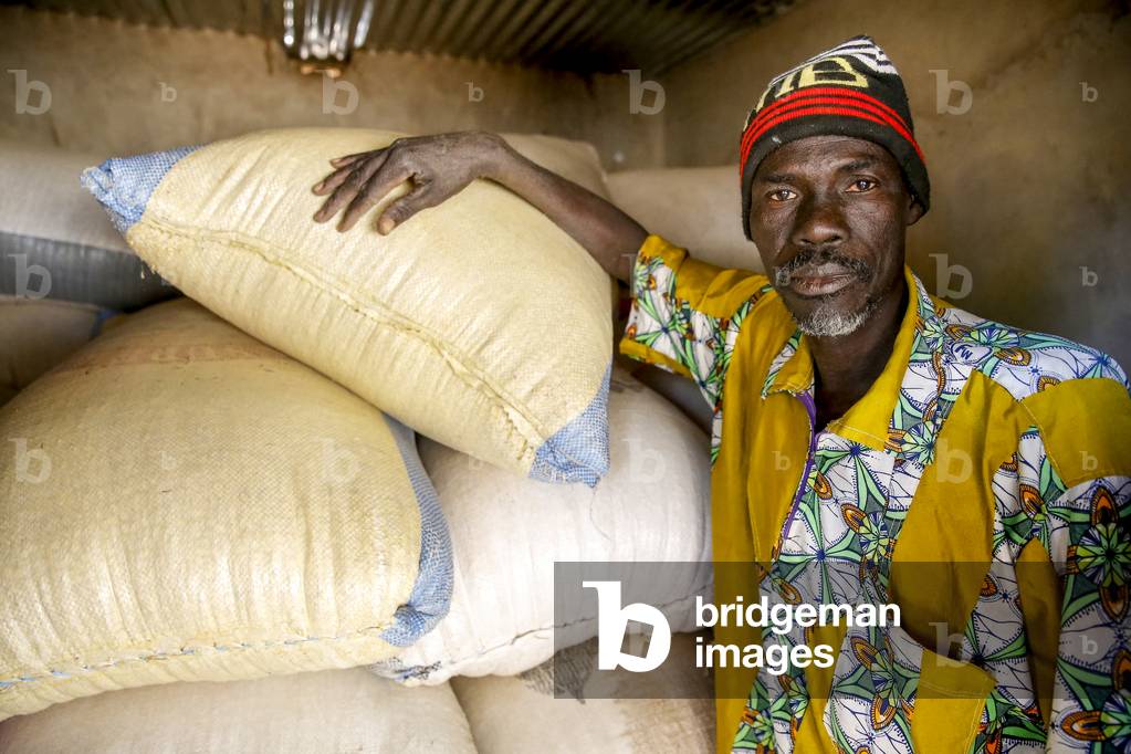 UBTEC NGO in a village near Ouahigouya, Burkina Faso, Farmer Tinto Zakaria in a food bank, Africa (photo)
