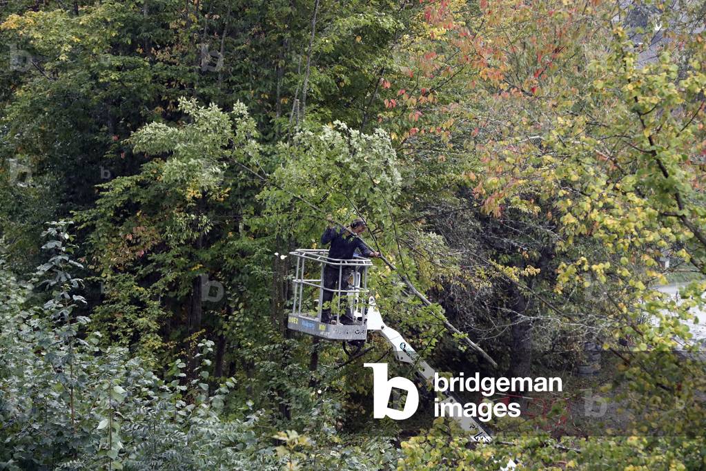 Lumberjack at work.  France.