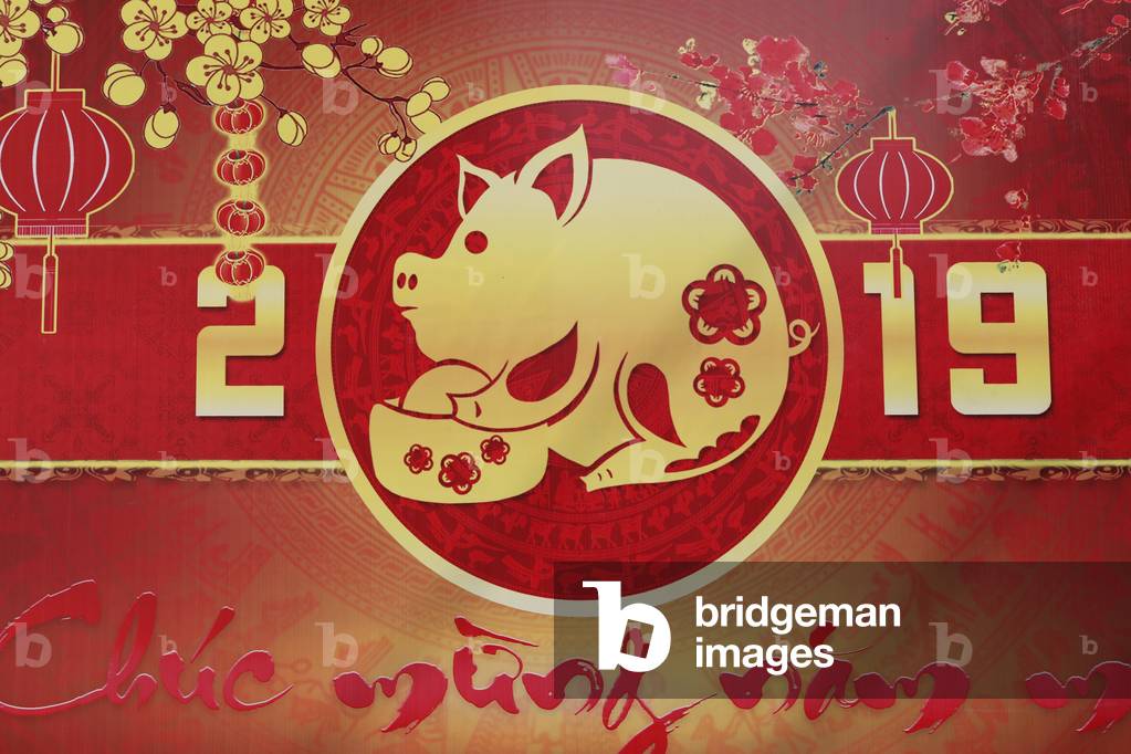 Chinese New Year decoration, Year of the pig, Ho Chi Minh City, Vietnam, 2019 (photo)