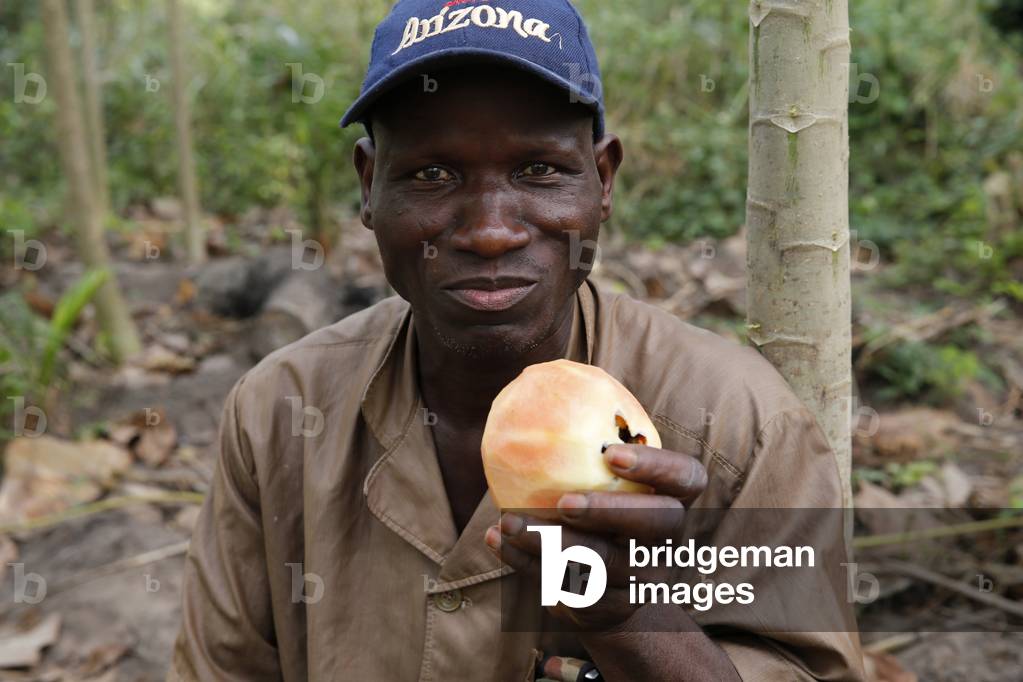 Roger Avadje has been a client of Alide microfinance institution since 2010 His group of 4 farmers is currently servicing a loan of 3 million F CFA used to grow papayas and pineapples, Zinvie, Benin