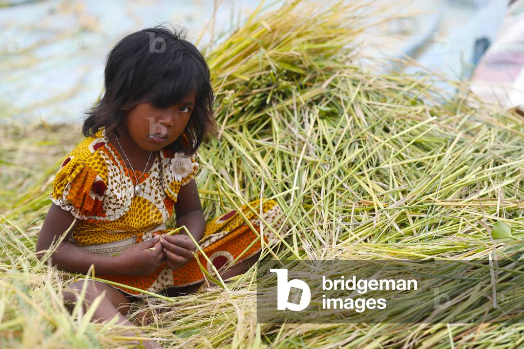 Malagasy girl, Portrait in rice field, Antananarivo, Madagascar (photo)