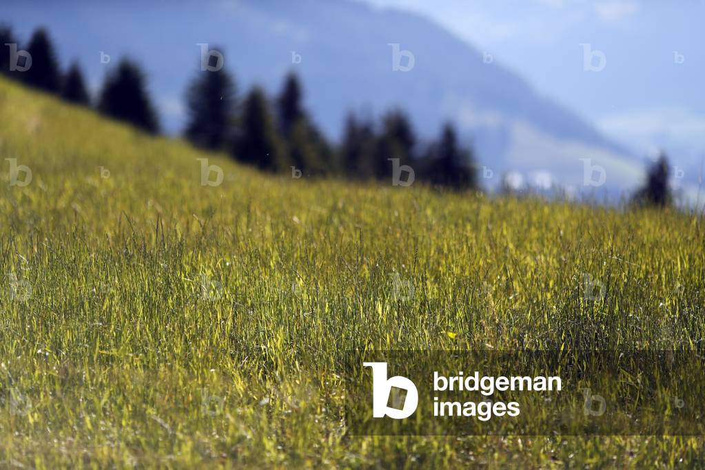 Mont d'Arbois and Mont Joux in summer. French Alps.  France.