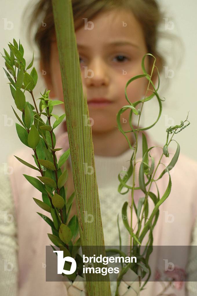 Succot lulav Paris France