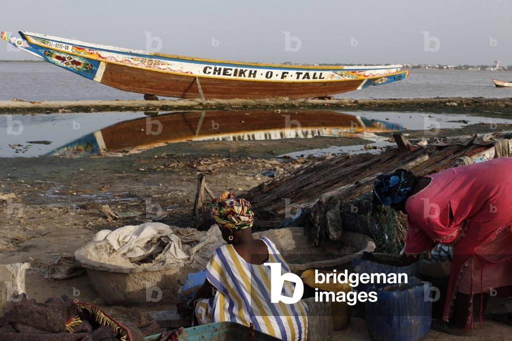Fish processing business financed with loans from a microcredit institution Saint-Louis Senegal