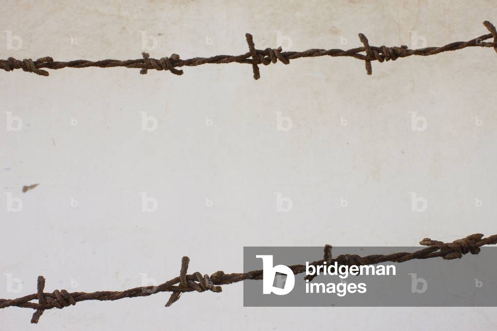 Barbed wire, Mui Ne, Vietnam