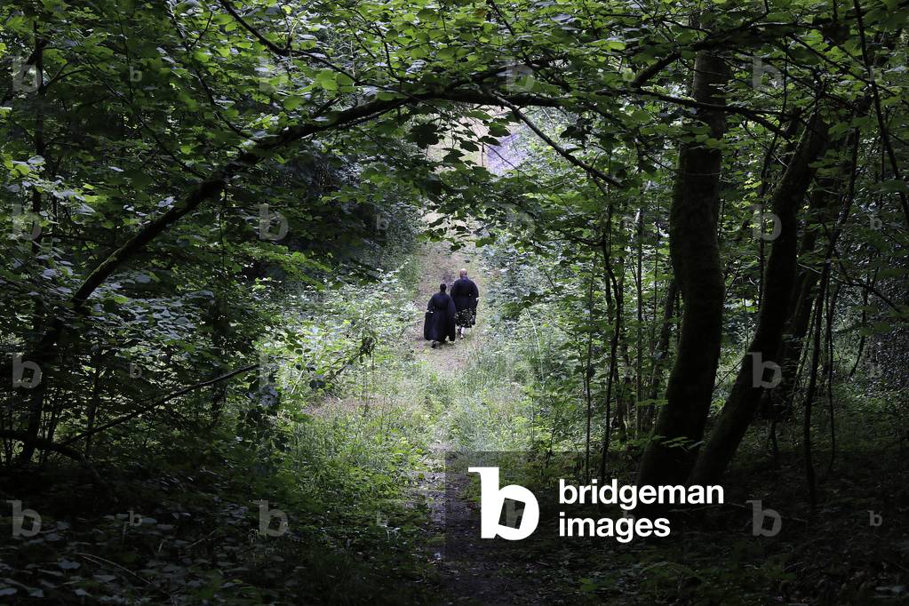 Zen buddhist monks walking in Orval, Belgium