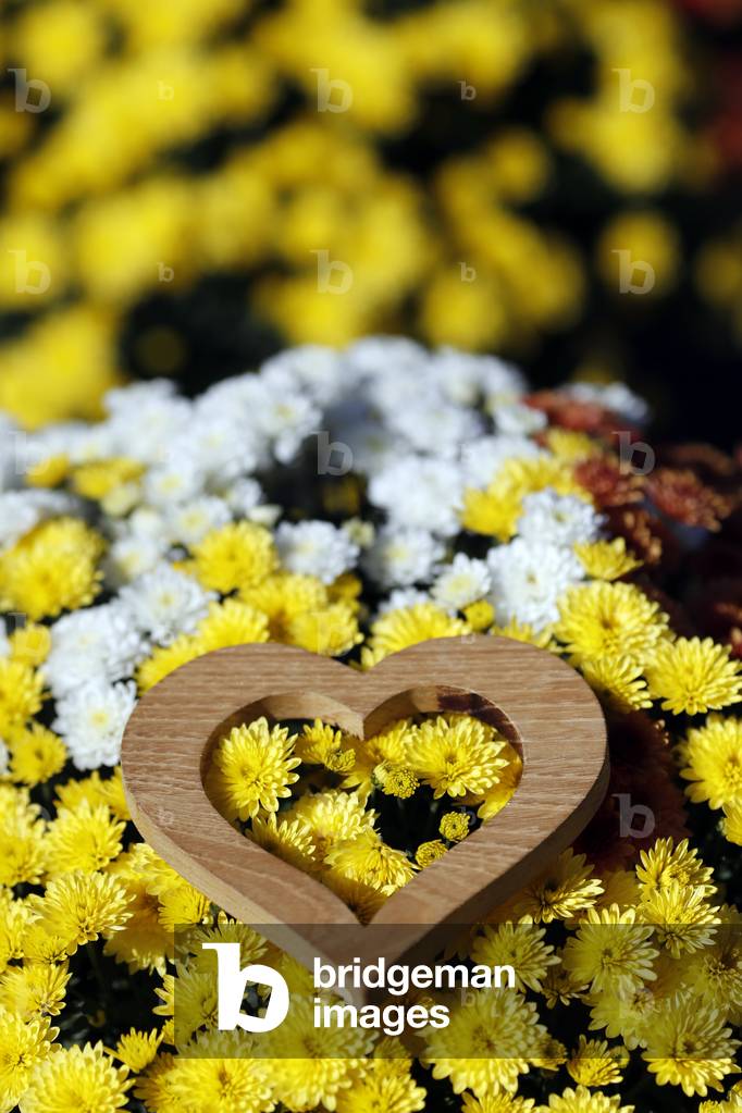 All Saints Day in a cemetery. France.