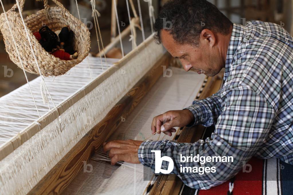 Weaver, Midoun, Tunisie