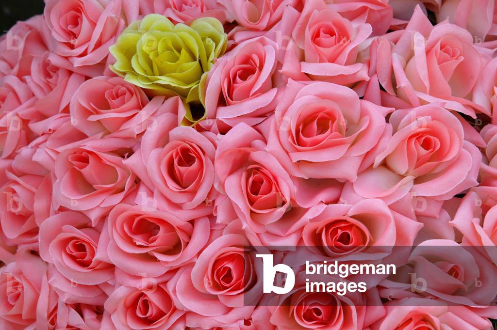 Roses at Pere Lachaise graveyard Paris France
