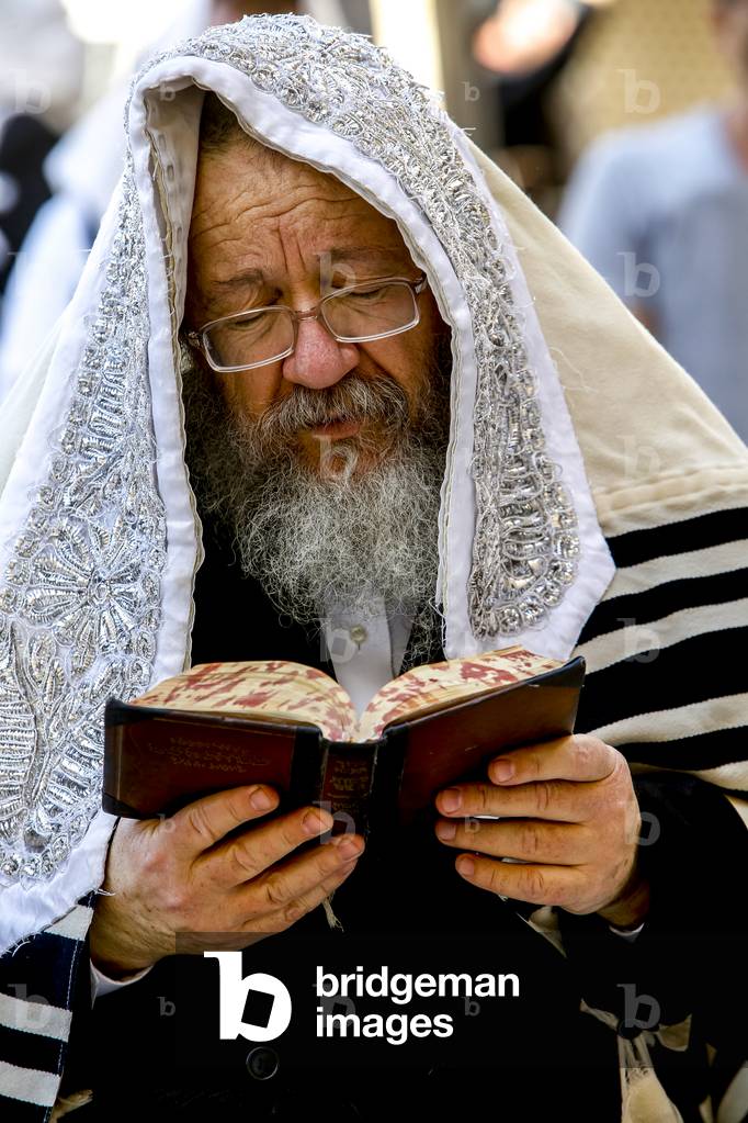 Jew reading at the western wall, Jerusalem, Israel. (photo)