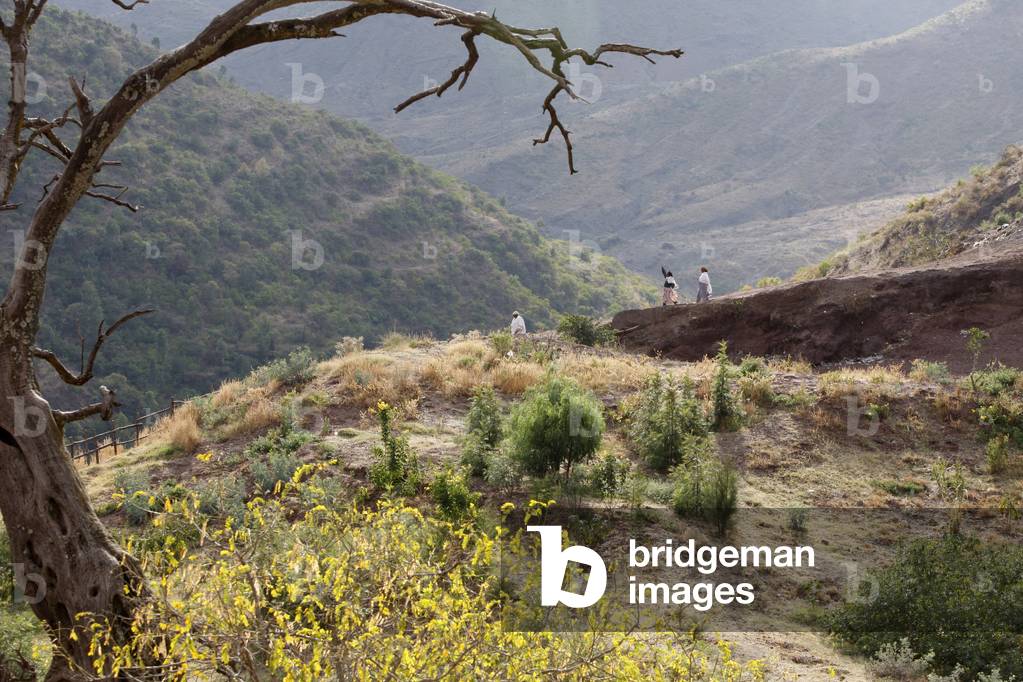 Pilgrims walking to Bieta Ghiorghis (Saint George's House) church in Lalibela, Lalibela, Ethiopia
