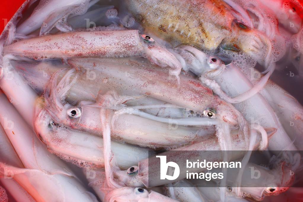 "Tintenfisch"