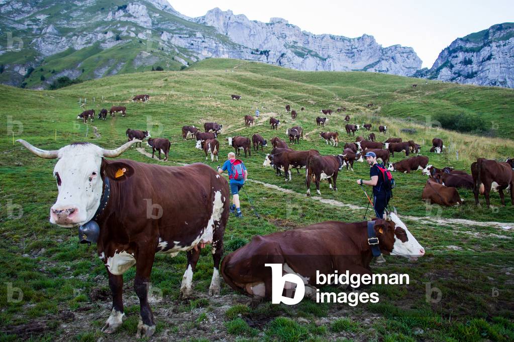 France, Rh¿ne-Alpes, Annecy : Hiking in the mountains