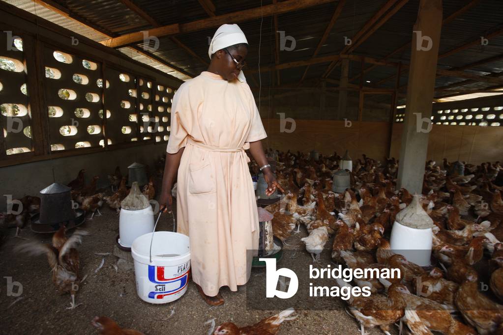Poultry breeding at Akepe catholic monastery, Akepe, Togo