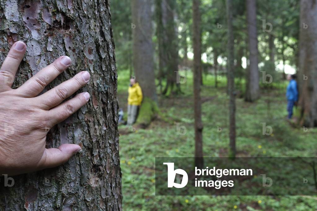 Nature therapy. Qi Gong and forest bathing, also known as Shinrin-Yoku.  France.