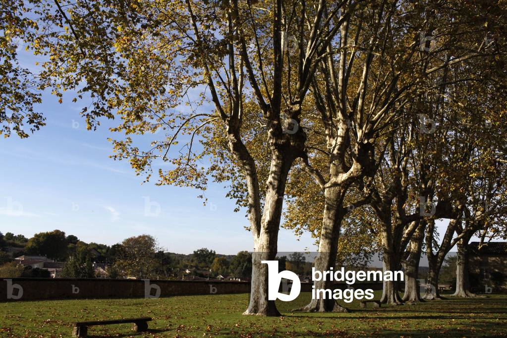 La Sauve Majeure abbey, La Sauve France.