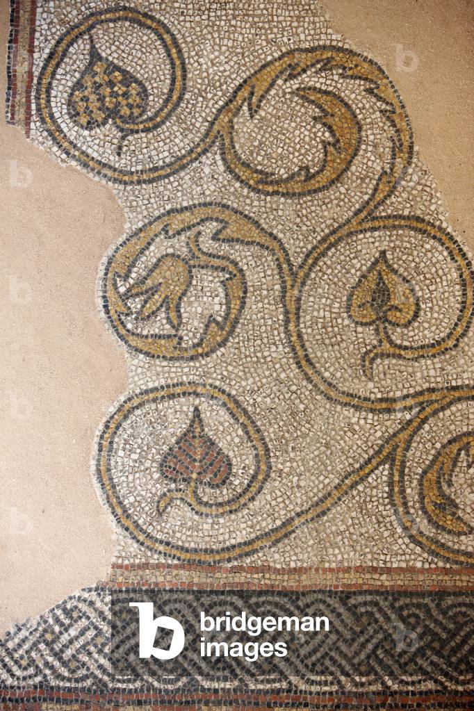 The museum of Sens. Mosaics Sens France