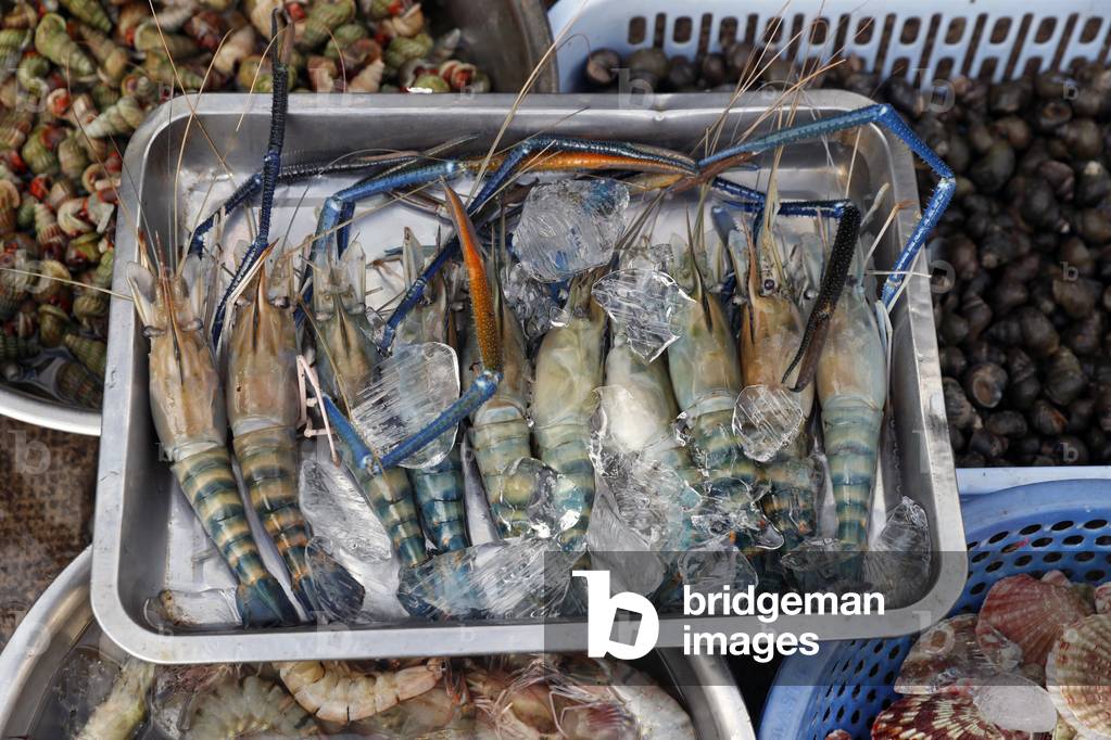 Fresh jumbo prawns for sale at market,  Ho Chi Minh City, Vietnam, 2018 (photo)