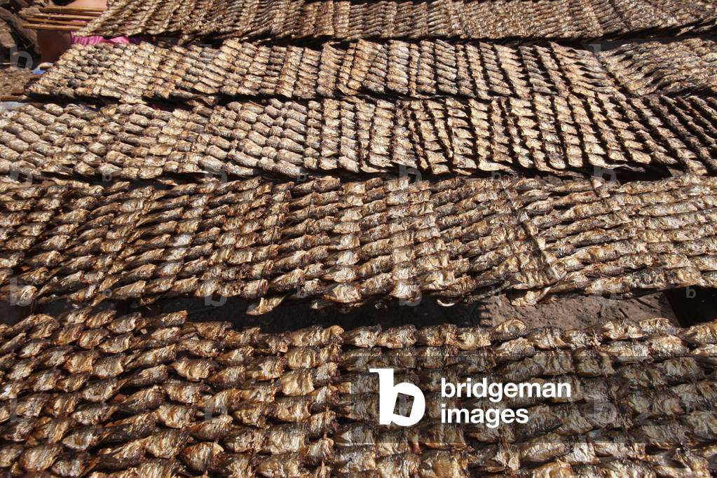 Kampong Kleang village. Dry Fish. Kampong Kleang Cambodia