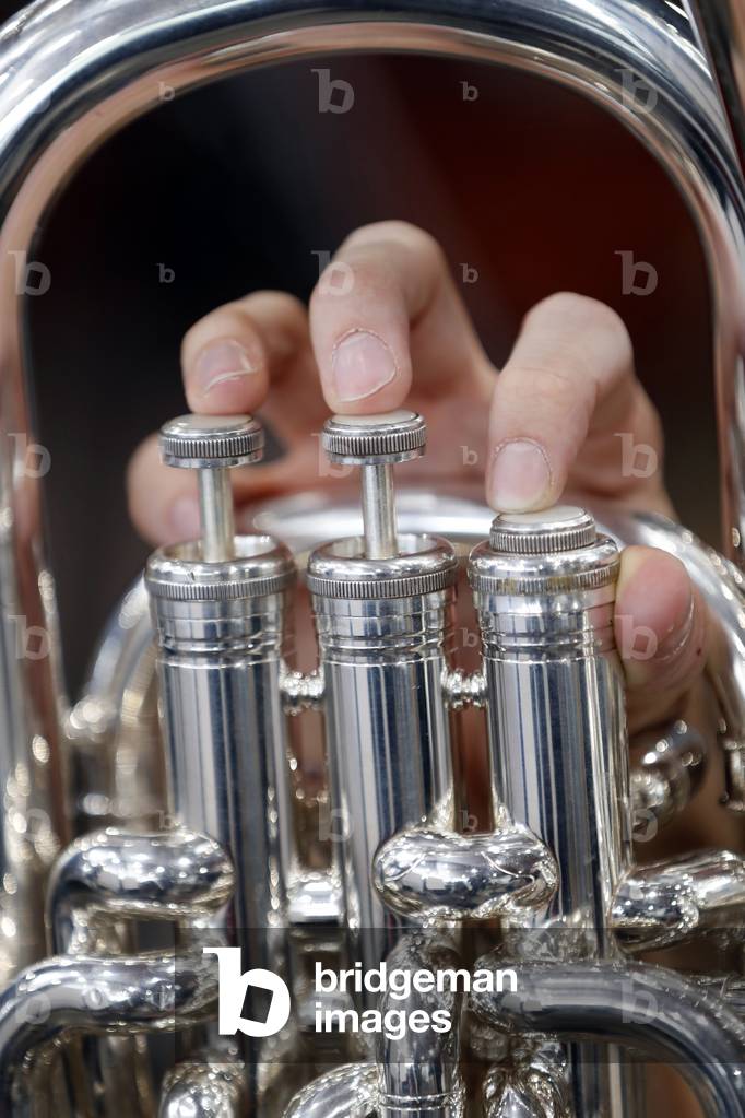 Mont-Blanc Wind Orchestra, Saint Gervais, France, 2020 (photo)