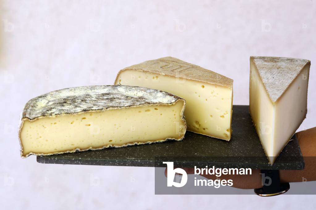 Different french cheeses produced in the Alps mountains.  France.